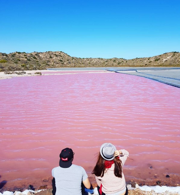 Hồ màu hồng lạ lùng giữa vùng đảo nước Úc: Điều gì tạo nên màu sắc thú vị này? - Ảnh 6.