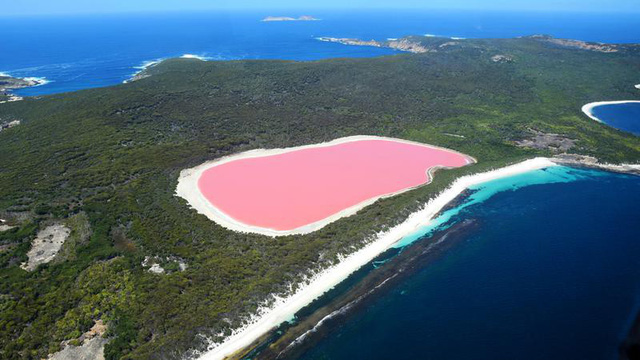 Hồ màu hồng lạ lùng giữa vùng đảo nước Úc: Điều gì tạo nên màu sắc thú vị này? - Ảnh 2.