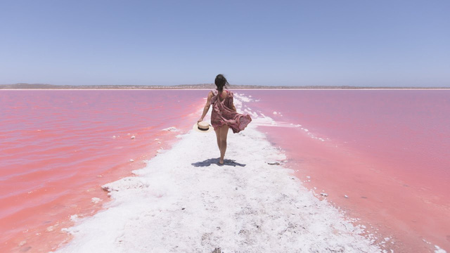 Hồ màu hồng lạ lùng giữa vùng đảo nước Úc: Điều gì tạo nên màu sắc thú vị này? - Ảnh 5.