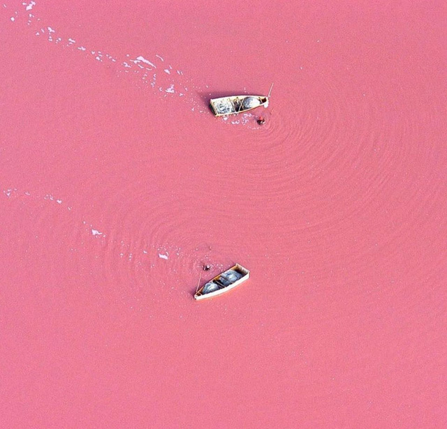Hồ màu hồng lạ lùng giữa vùng đảo nước Úc: Điều gì tạo nên màu sắc thú vị này? - Ảnh 3.
