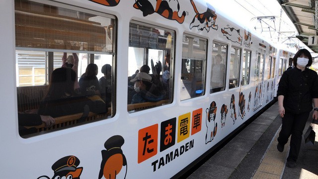 Tama: Từ con mèo hoang đến “trưởng ga tàu” nổi tiếng nhất cả nước, biểu tượng văn hóa đáng tự hào của Nhật Bản - Ảnh 5.