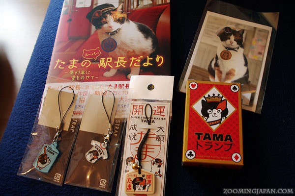 Tama: Từ con mèo hoang đến “trưởng ga tàu” nổi tiếng nhất cả nước, biểu tượng văn hóa đáng tự hào của Nhật Bản - Ảnh 7.