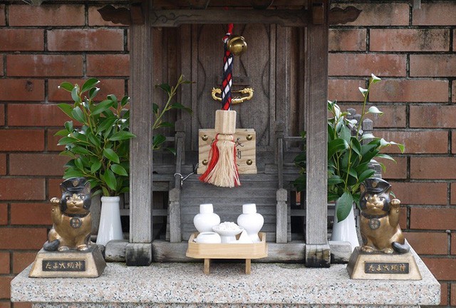 Tama: Từ con mèo hoang đến “trưởng ga tàu” nổi tiếng nhất cả nước, biểu tượng văn hóa đáng tự hào của Nhật Bản - Ảnh 10.