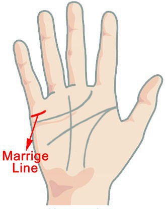 Đưa tay lên và soi những đường chỉ nhỏ xíu này xem, bạn sẽ có câu trả lời về cuộc sống hôn nhân của mình bây giờ và mai sau - Ảnh 3.