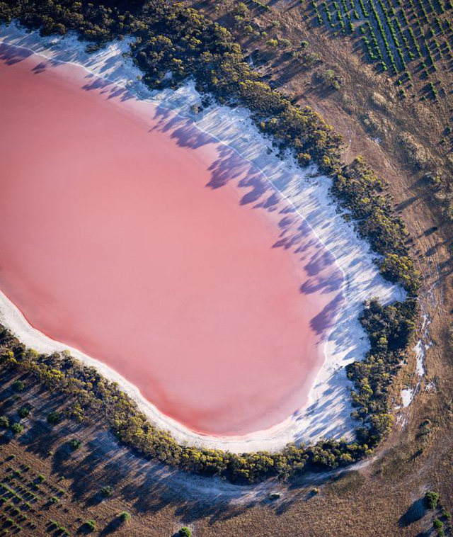Hồ màu hồng lạ lùng giữa vùng đảo nước Úc: Điều gì tạo nên màu sắc thú vị này? - Ảnh 1.