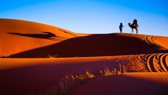 Những sự thật ít người biết về sa mạc Sahara - nóng bỏng, điên rồ nhưng kỳ diệu bậc nhất hành tinh - Ảnh 1.