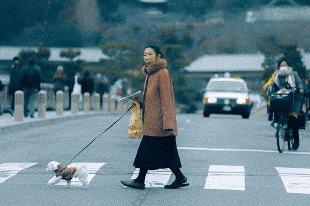  Bộ ảnh ở Kyoto này sẽ cho bạn thấy một Nhật Bản rất khác: Bình yên, dịu dàng và đẹp như những thước phim điện ảnh - Ảnh 17.