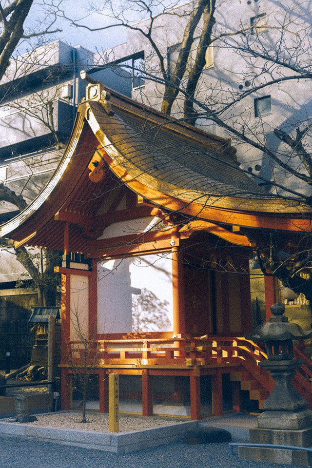  Bộ ảnh ở Kyoto này sẽ cho bạn thấy một Nhật Bản rất khác: Bình yên, dịu dàng và đẹp như những thước phim điện ảnh - Ảnh 16.
