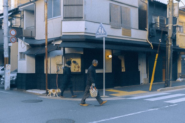  Bộ ảnh ở Kyoto này sẽ cho bạn thấy một Nhật Bản rất khác: Bình yên, dịu dàng và đẹp như những thước phim điện ảnh - Ảnh 10.