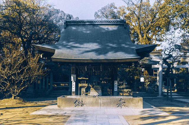 Bộ ảnh ở Kyoto này sẽ cho bạn thấy một Nhật Bản rất khác: Bình yên, dịu dàng và đẹp như những thước phim điện ảnh - Ảnh 4.