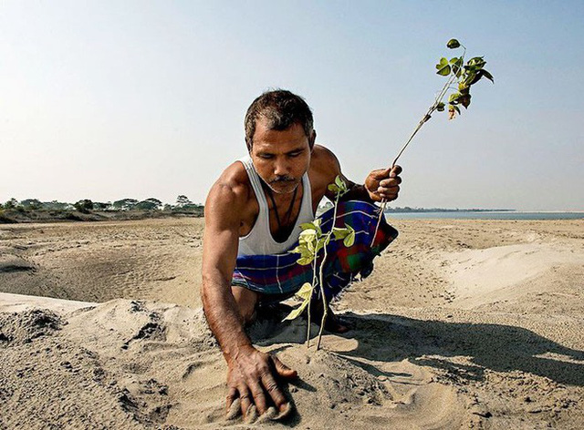 Mỗi ngày trồng 1 cái cây từ 40 năm trước, người đàn ông biến hòn đảo suýt bị nhấn chìm thành thiên đường nhiệt đới - Ảnh 5.